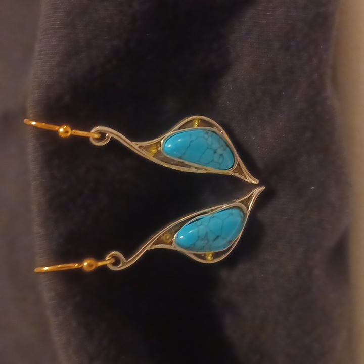 Nwt Turquoise Earrings 14$